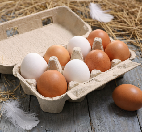 Capture decran 2026 01 13 194717 Quelle est la diff&eacute;rence entre les &oelig;ufs blancs et les &oelig;ufs bruns ?
