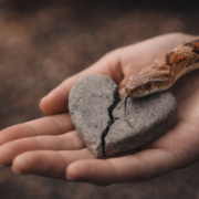 Capture decran 2026 01 16 133638 Ces personnes que vous ne devriez jamais pardonner : une le&ccedil;on de vie qui fait r&eacute;fl&eacute;chir