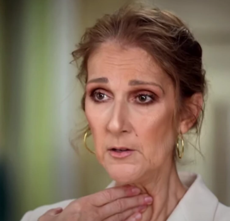 Capture decran 2026 01 20 113204 La triste nouvelle partag&eacute;e par C&eacute;line Dion touche le c&oelig;ur de ses fans