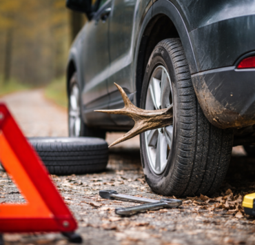 Capture decran 2026 01 23 001219 Un chasseur victime d&rsquo;un accident compl&egrave;tement improbable en pleine route