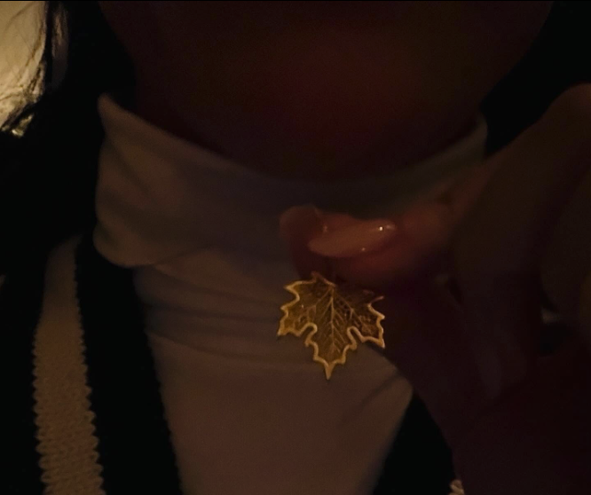 Capture le 2026 01 08 a 00.18.57 Une artiste c&eacute;l&egrave;bre tr&egrave;s connue publie des photos en bikini... et un homme bien connu au Qu&eacute;bec appara&icirc;t &agrave; ses c&ocirc;t&eacute;s (03) photos du couple!