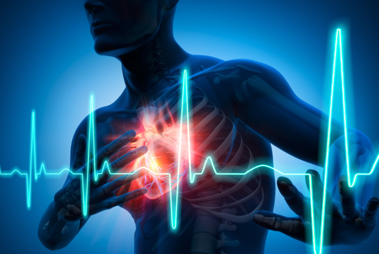 Capture le 2026 01 10 a 05.53.17 7 aliments qui nettoient vos art&egrave;res naturellement et prot&egrave;gent votre c&oelig;ur &agrave; fin &eacute;viter les crises cardiaques