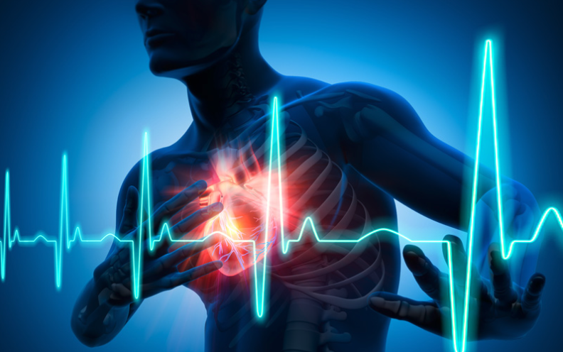 Capture le 2026 01 10 a 05.53.17 7 aliments qui nettoient vos art&egrave;res naturellement et prot&egrave;gent votre c&oelig;ur &agrave; fin &eacute;viter les crises cardiaques