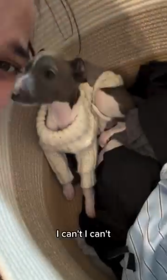 Capture le 2026 01 27 a 02.29.02 &Eacute;l&eacute;onore Lagac&eacute; craque et pr&eacute;sente son nouveau compagnon