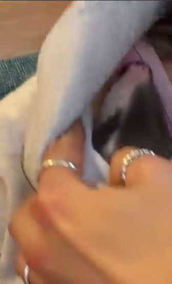 Capture le 2026 01 27 a 02.29.29 &Eacute;l&eacute;onore Lagac&eacute; craque et pr&eacute;sente son nouveau compagnon