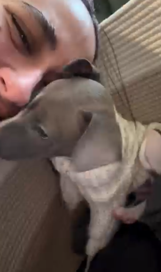 Capture le 2026 01 27 a 02.29.37 &Eacute;l&eacute;onore Lagac&eacute; craque et pr&eacute;sente son nouveau compagnon