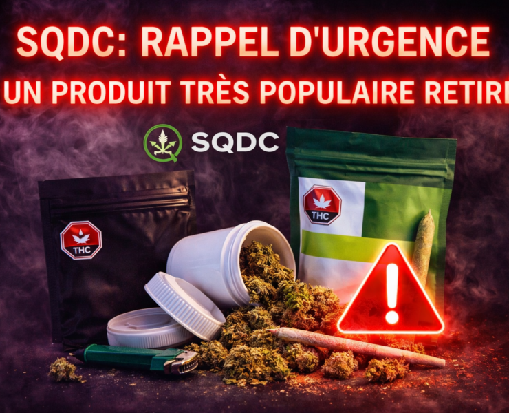 ChatGPT Image 17 janv. 2026 11 08 49 SQDC : rappel d&rsquo;urgence, un produit tr&egrave;s populaire retir&eacute;