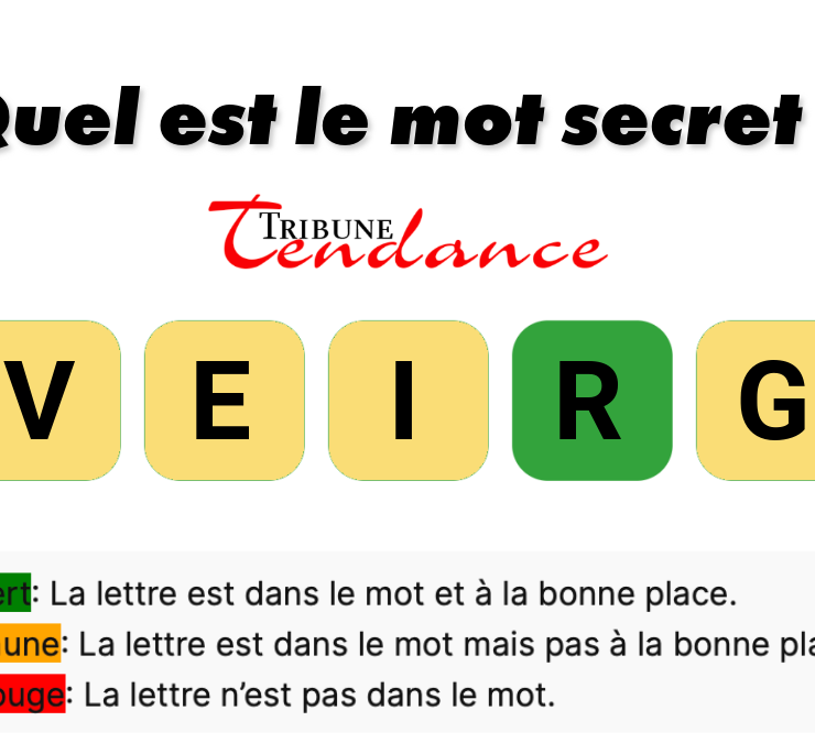 game virale image givre 4 D&eacute;fi: Mot de 5 Lettres en 2 Minutes