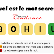 game virale image hibou 1 D&eacute;fi: Mot de 5 Lettres en 2 Minutes