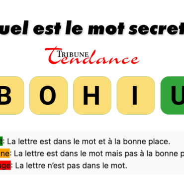 game virale image hibou 3 D&eacute;fi: Mot de 5 Lettres en 2 Minutes