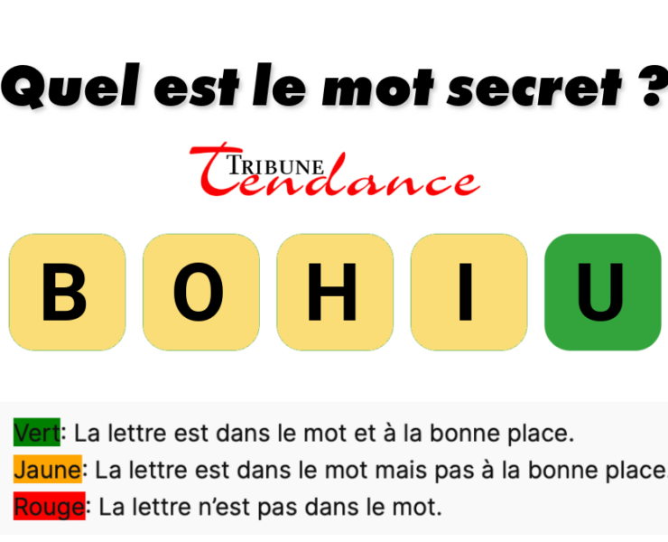 game virale image hibou 3 D&eacute;fi: Mot de 5 Lettres en 2 Minutes