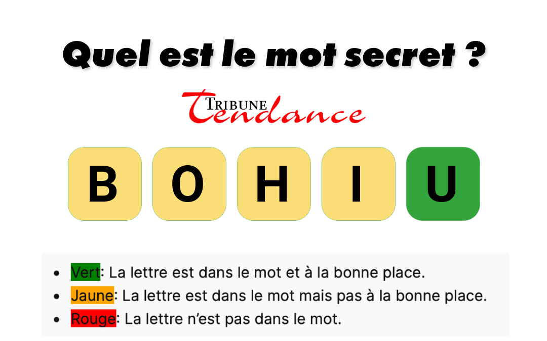 game virale image hibou 3 D&eacute;fi: Mot de 5 Lettres en 2 Minutes