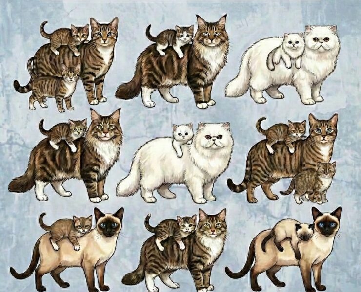 unnamed 24 Les multiples bienfaits d'avoir un chat &agrave; la maison