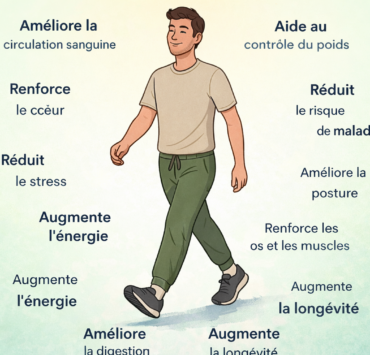 37fcaa0f b102 48e2 bc47 6441948eb167 Pourquoi marcher chaque jour peut transformer votre sant&eacute;