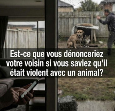 Capture decran 2026 02 01 133939 D&eacute;noncer la cruaut&eacute; animale : Une obligation morale et l&eacute;gale