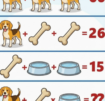 Capture decran 2026 02 02 140723 Voici la r&eacute;solution du probl&egrave;me de math&eacute;matiques, ainsi que la r&eacute;ponse
