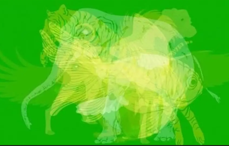 Capture decran 2026 02 02 160732 Le premier animal que vous voyez r&eacute;v&egrave;le quelque chose de surprenant