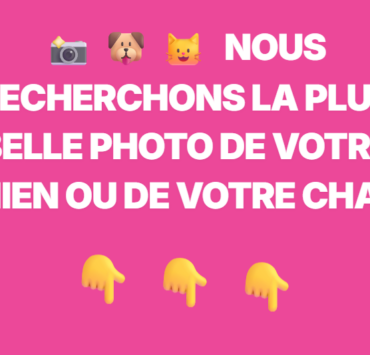 Capture decran 2026 02 04 054912 Les gens sont-ils plus heureux avec un animal de compagnie ?