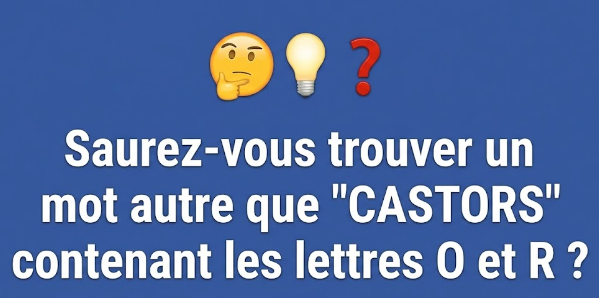Capture decran 2026 02 06 091119 Derri&egrave;re la Difficult&eacute; du Fran&ccedil;ais : Ce Qu'on Ne Vous Dit Pas