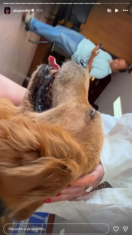 Capture decran 2026 02 25 162227 Alicia Moffet et Fr&eacute;d&eacute;rick Robichaud arr&ecirc;t&eacute;s en plein voyage en Tha&iuml;lande