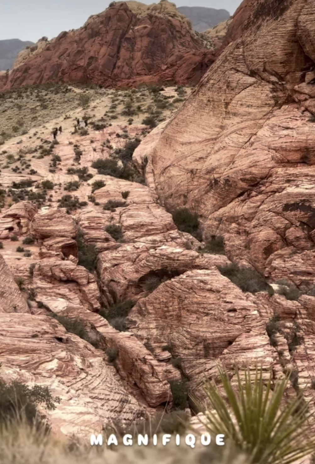 Capture decran le 2026 02 11 a 11.03.09 M&eacute;lissa B&eacute;dard loin du Qu&eacute;bec : voici o&ugrave; elle se trouve