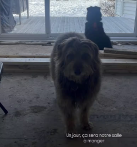 Capture decran le 2026 02 24 a 08.32.12 Julie B&eacute;langer brise le silence apr&egrave;s le sinistre qui a boulevers&eacute; sa maison