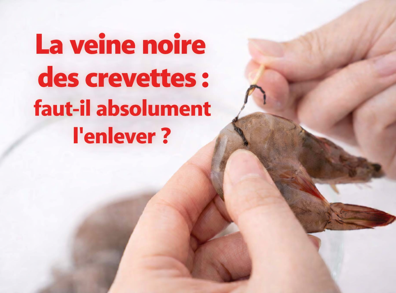 crevettennn e1770308691849 La veine noire des crevettes : faut-il absolument l&rsquo;enlever?
