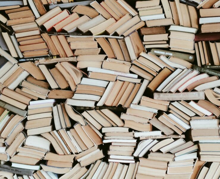 livres Voici une suggestion que nous avons trouv&eacute;e bien dr&ocirc;le : le livre qui fait vraiment &eacute;clater de rire