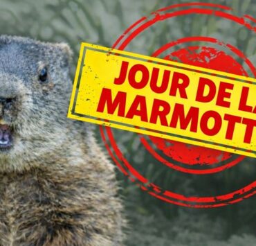 marmotte Verdict du Jour de la marmotte : printemps h&acirc;tif ou hiver prolong&eacute;?