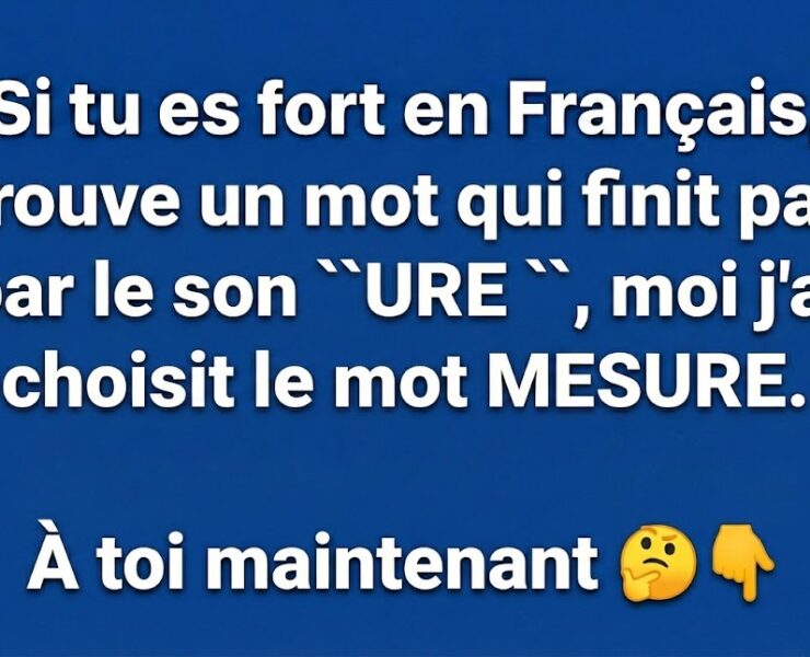unnamed 2 1 Le Fran&ccedil;ais : un tr&eacute;sor &agrave; prot&eacute;ger