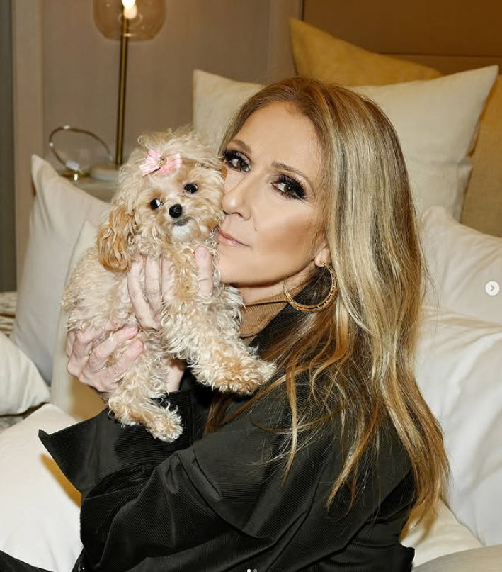 Une présence inattendue vole la vedette à Céline Dion sur sa dernière photo ! 2 Une présence inattendue vole la vedette à Céline Dion sur sa dernière photo ! Capture decran 2026 03 01 121946 Une présence inattendue vole la vedette à Céline Dion sur sa dernière photo !