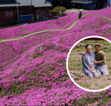 Capture decran 2026 03 06 123113 Il transforme son terrain en plantant des milliers de fleurs pour faire sourire sa femme devenue aveugle