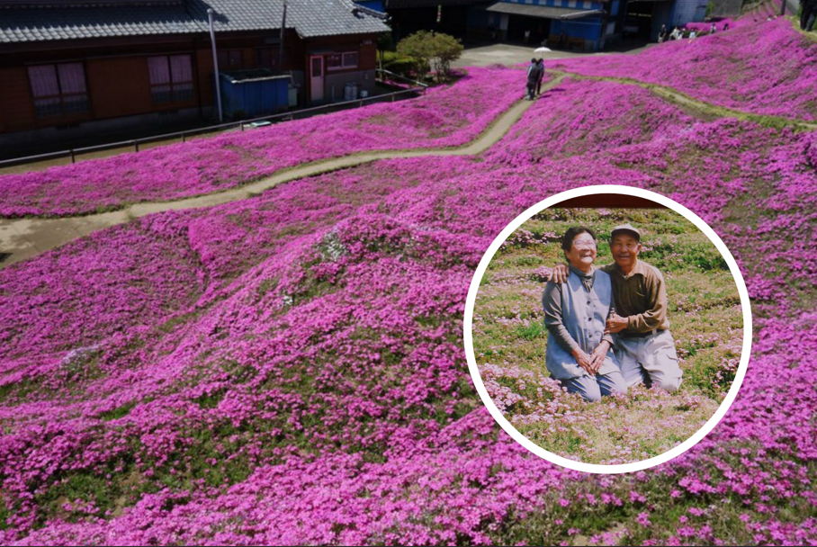 Capture decran 2026 03 06 123113 Il transforme son terrain en plantant des milliers de fleurs pour faire sourire sa femme devenue aveugle