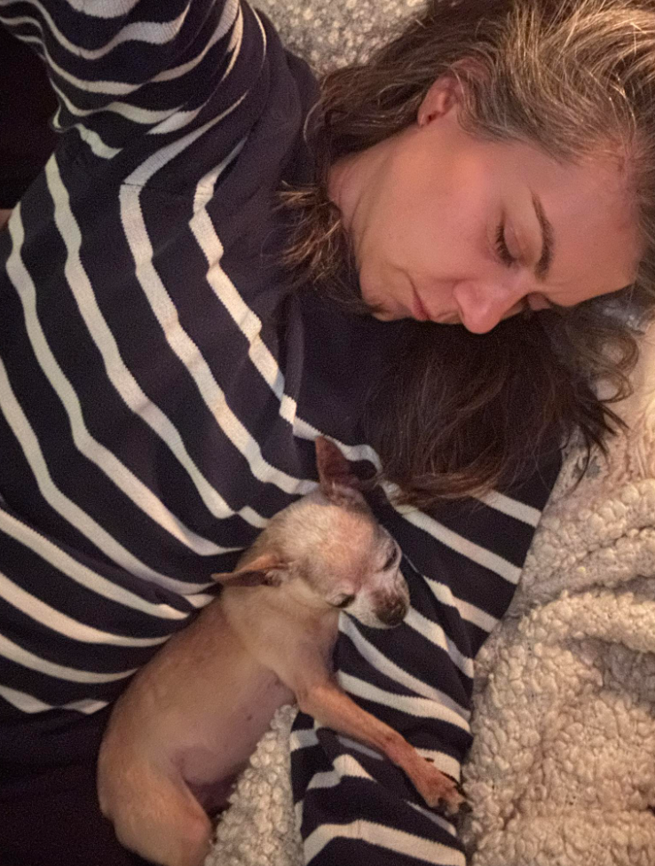 Capture decran 2026 03 09 122514 Moment tr&egrave;s difficile pour R&eacute;al Boss&eacute; et sa conjointe : une perte bouleversante