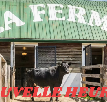 Capture le 2026 03 05 a 10.20.51 Voici enfin ce qui va prendre la place de la fermette du Centre de la nature de Laval