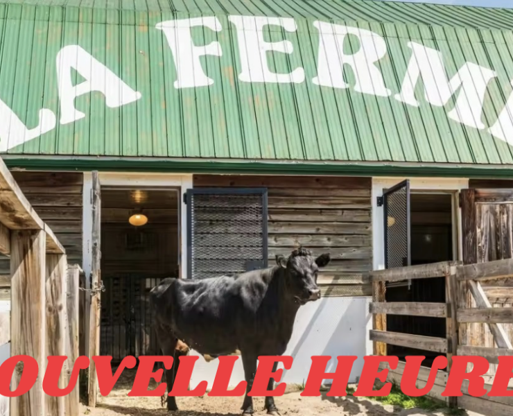 Capture le 2026 03 05 a 10.20.51 Voici enfin ce qui va prendre la place de la fermette du Centre de la nature de Laval