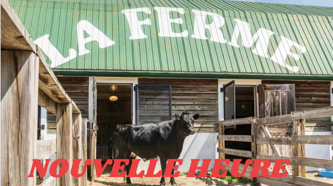 Capture le 2026 03 05 a 10.20.51 Voici enfin ce qui va prendre la place de la fermette du Centre de la nature de Laval