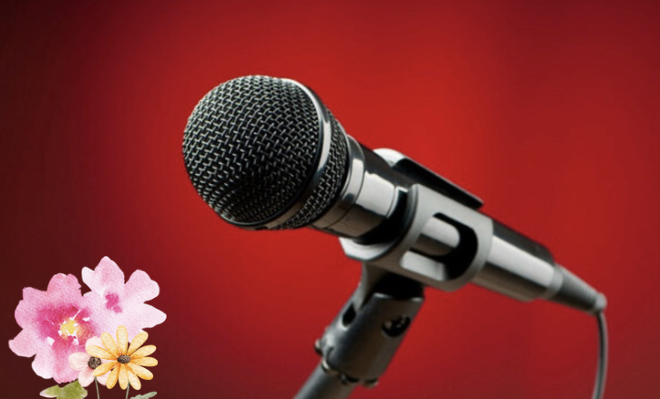 Capture le 2026 03 06 a 10.21.22 Derni&egrave;re heure : le Qu&eacute;bec en deuil apr&egrave;s la perte d&rsquo;un artiste ador&eacute;