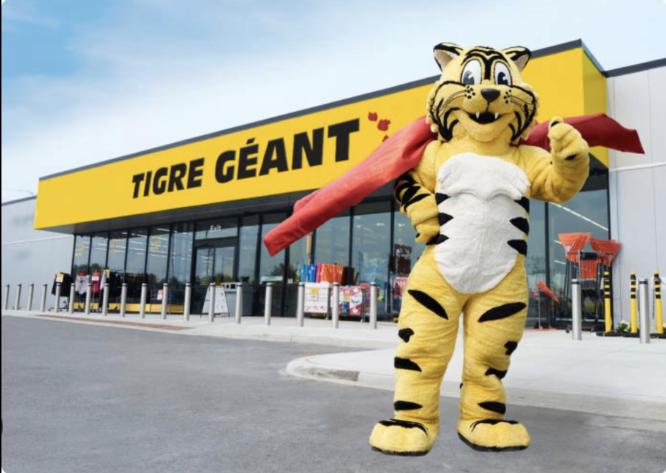 Capture le 2026 03 09 a 11.31.08 Tigre G&eacute;ant vend un &ldquo;dupe&rdquo; du Dyson &agrave; 60 $ : on l&rsquo;a test&eacute; et voici ce qu&rsquo;on en pense