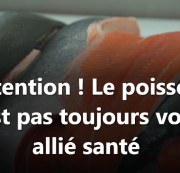 Capture decran 2026 04 07 112533 &laquo; Isabelle Huot brise le mythe : manger du poisson n&rsquo;est pas toujours bon pour vous &raquo;