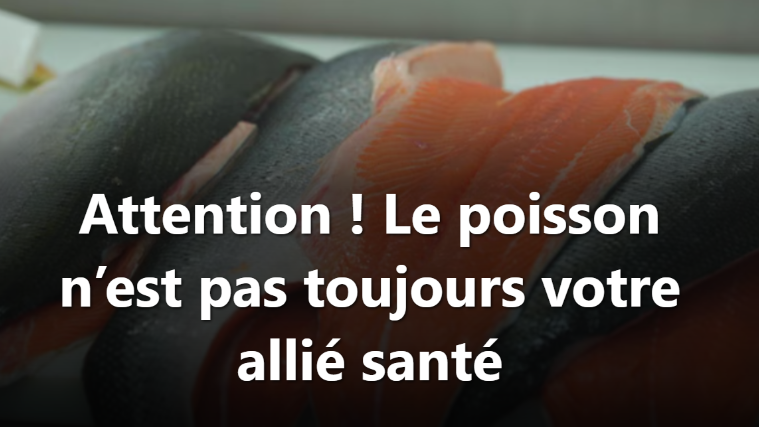 Capture decran 2026 04 07 112533 &laquo; Isabelle Huot brise le mythe : manger du poisson n&rsquo;est pas toujours bon pour vous &raquo;