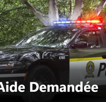 Capture decran 2026 04 07 115352 Une somme de 30 000 $ retrouv&eacute;e : la SQ veut vos infos