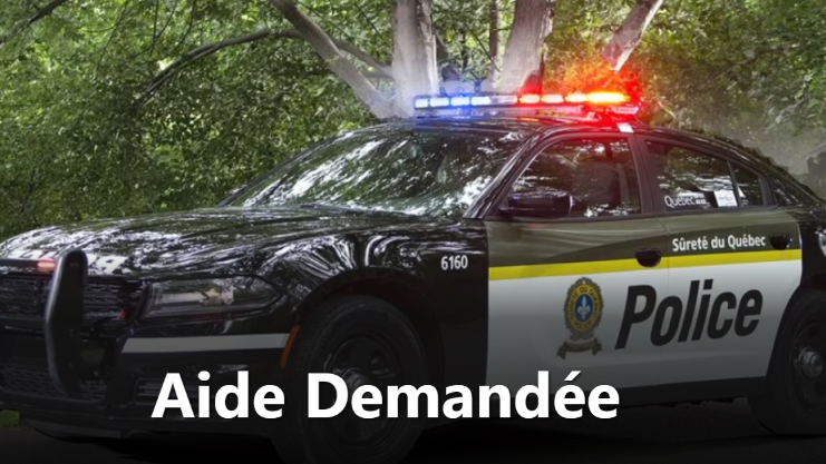 Capture decran 2026 04 07 115352 Une somme de 30 000 $ retrouv&eacute;e : la SQ veut vos infos
