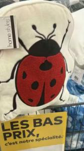 Capture decran 2026 04 22 073741 Transformez votre int&eacute;rieur : trouvailles d&eacute;co pour moins de 25 $