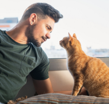 Capture le 2026 04 13 a 07.38.37 Pourquoi le regard de votre chat vers la fen&ecirc;tre n'est pas forc&eacute;ment un appel au secours, mais plut&ocirc;t une forme de t&eacute;l&eacute;vision naturelle.