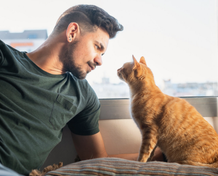 Capture le 2026 04 13 a 07.38.37 Pourquoi le regard de votre chat vers la fen&ecirc;tre n'est pas forc&eacute;ment un appel au secours, mais plut&ocirc;t une forme de t&eacute;l&eacute;vision naturelle.