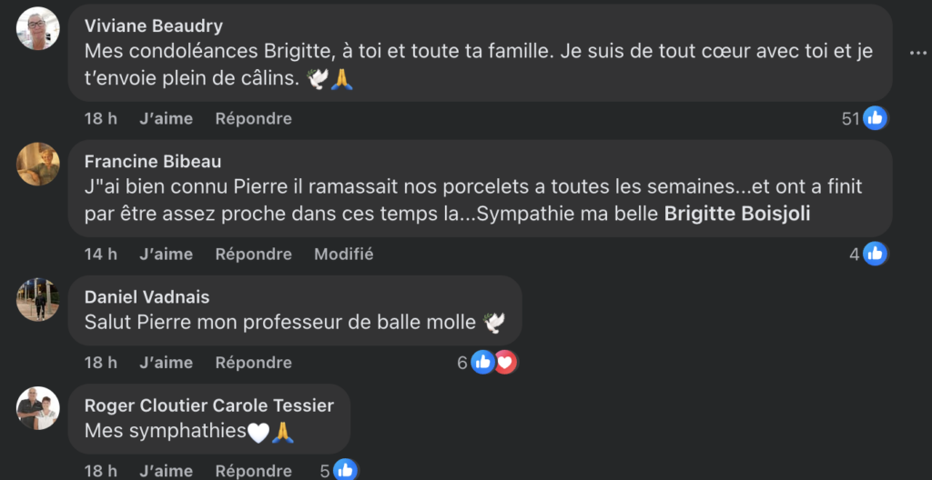 Capture le 2026 04 27 a 07.59.23 Brigitte Boisjoli traverse une &eacute;preuve profond&eacute;ment douloureuse, les messages en commentaires sont remplis d'&eacute;motions