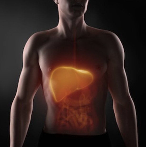 Ces 11 symptômes pourraient révéler un problème sérieux au foie sur vous découvrez pourquoi? 2 Ces 11 symptômes pourraient révéler un problème sérieux au foie sur vous découvrez pourquoi? Capture le 2026 04 29 a 22.01.20 Ces 11 symptômes pourraient révéler un problème sérieux au foie sur vous découvrez pourquoi?