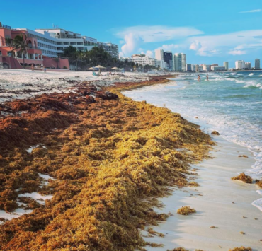 Capture decran 2026 05 05 100416 Playa del Carmen : plages interdites, attention avant d&rsquo;y aller (on vous explique)