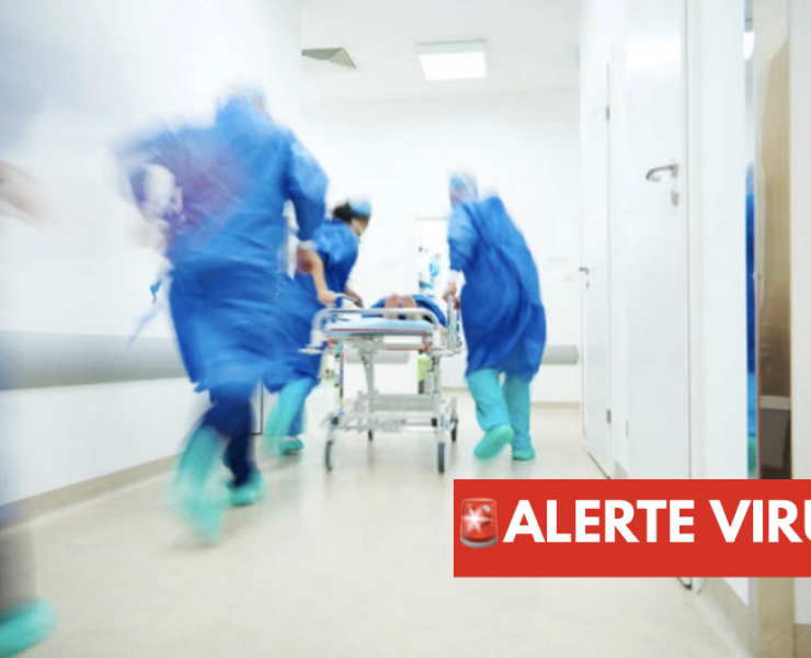 Capture le 2026 05 15 a 10.08.21 ALERTE Sant&eacute; Canada: Huit personnes sous surveillance pour le hantavirus au Qu&eacute;bec